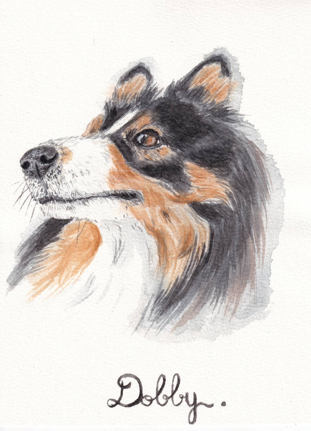 portrait chien format a5