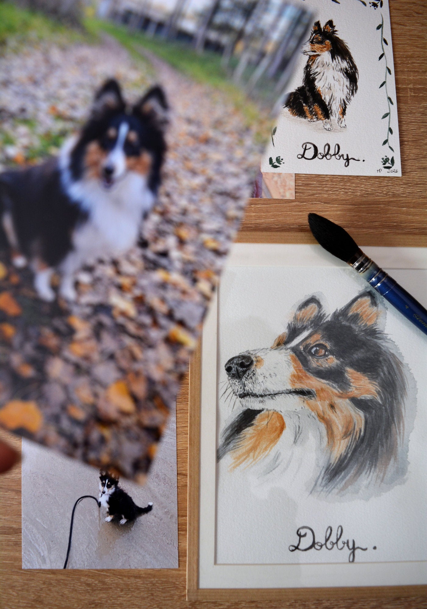 aquarelle personnalisée chien berger shetland