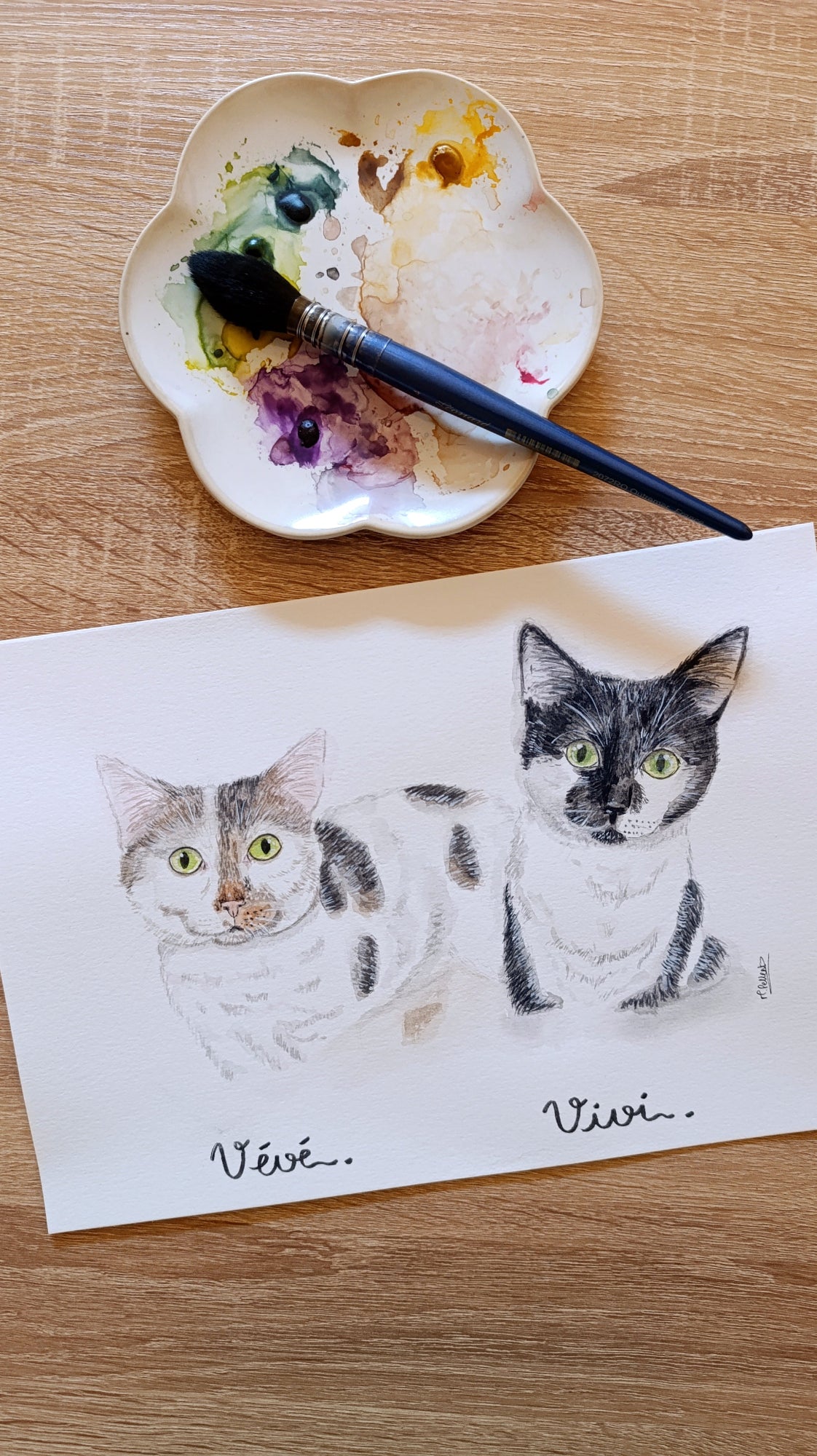 portrait deux chats