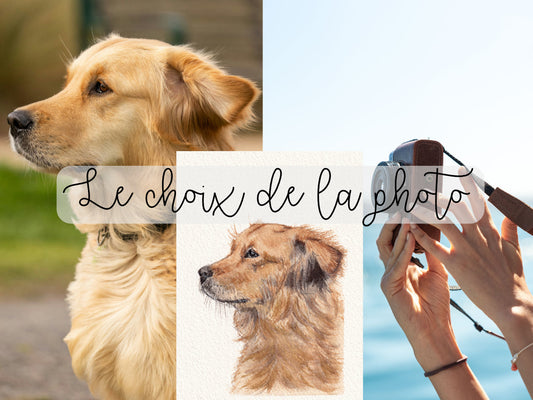 Comment choisir la bonne photo de son animal pour une aquarelle personnalisée