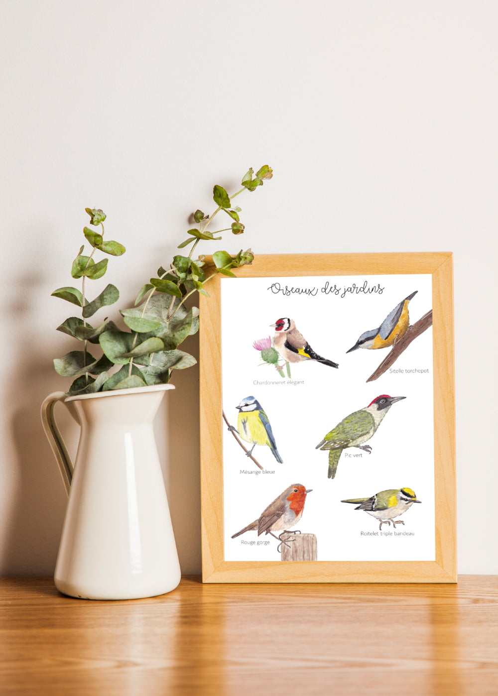 Affiche oiseaux des jardins