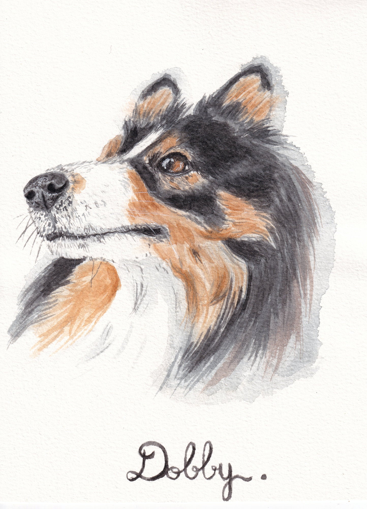 portrait chien format a5