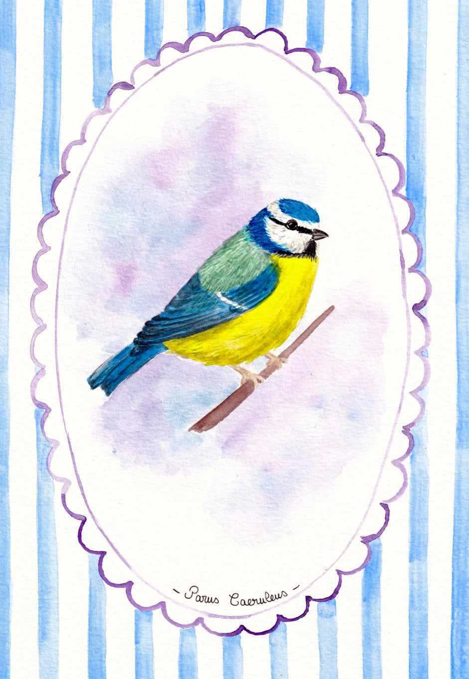 PORTRAIT_MESANGE_BLEUE
