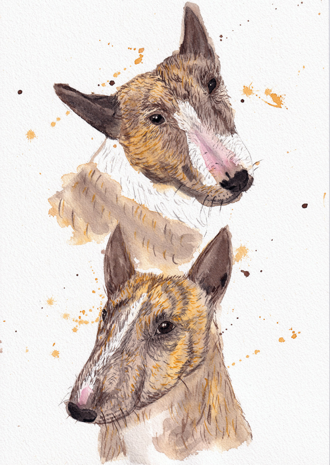 Portrait_mini_bull