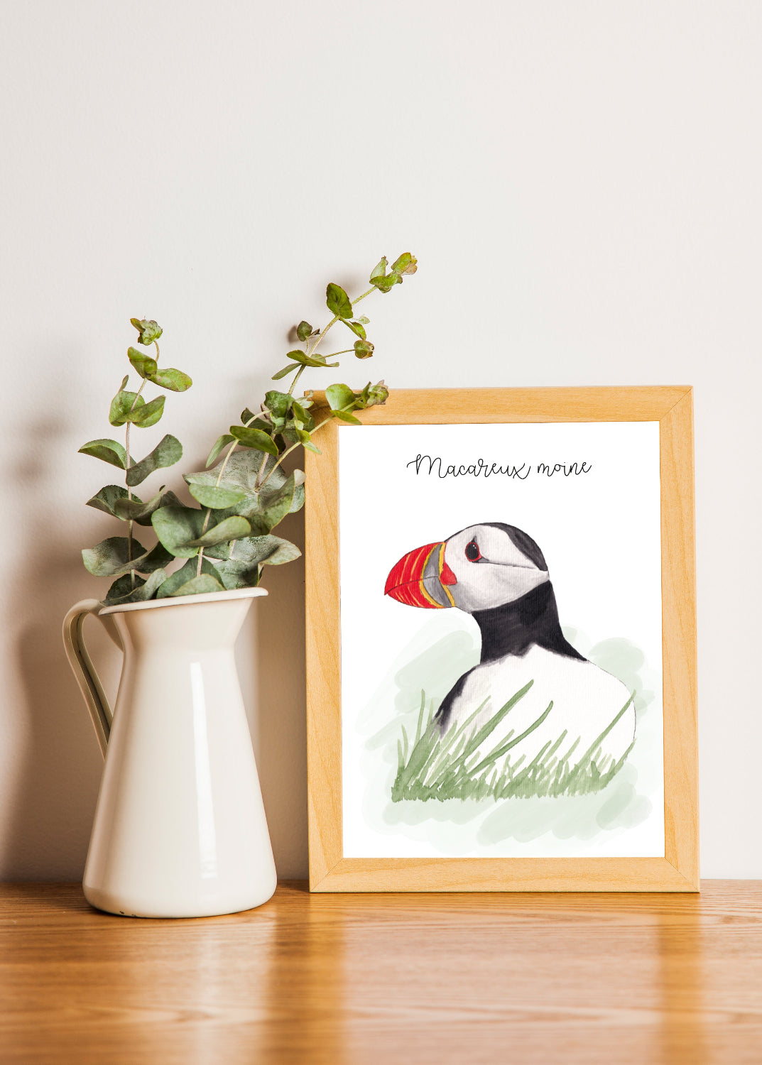 affiche macareux moine