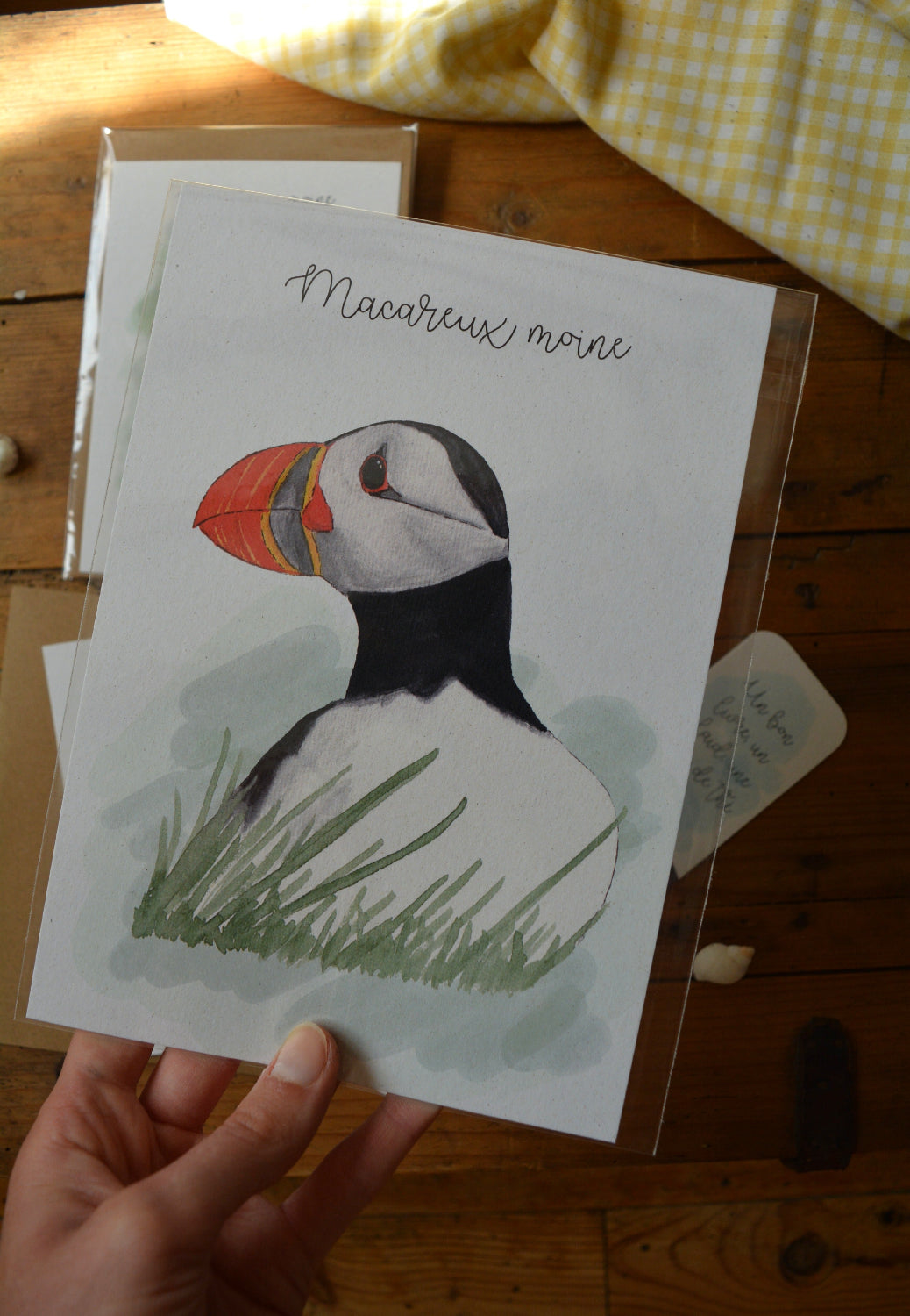 affiche macareux moine