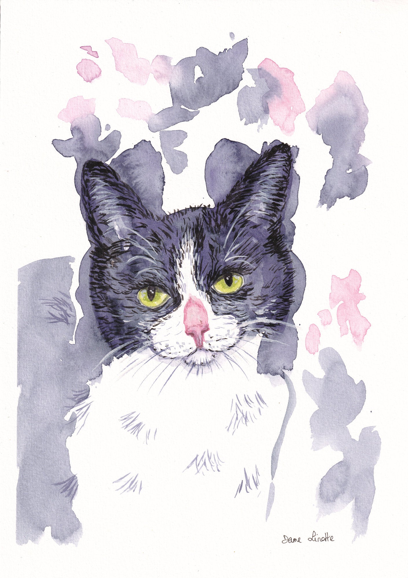 aquarelle chat noir et blanc