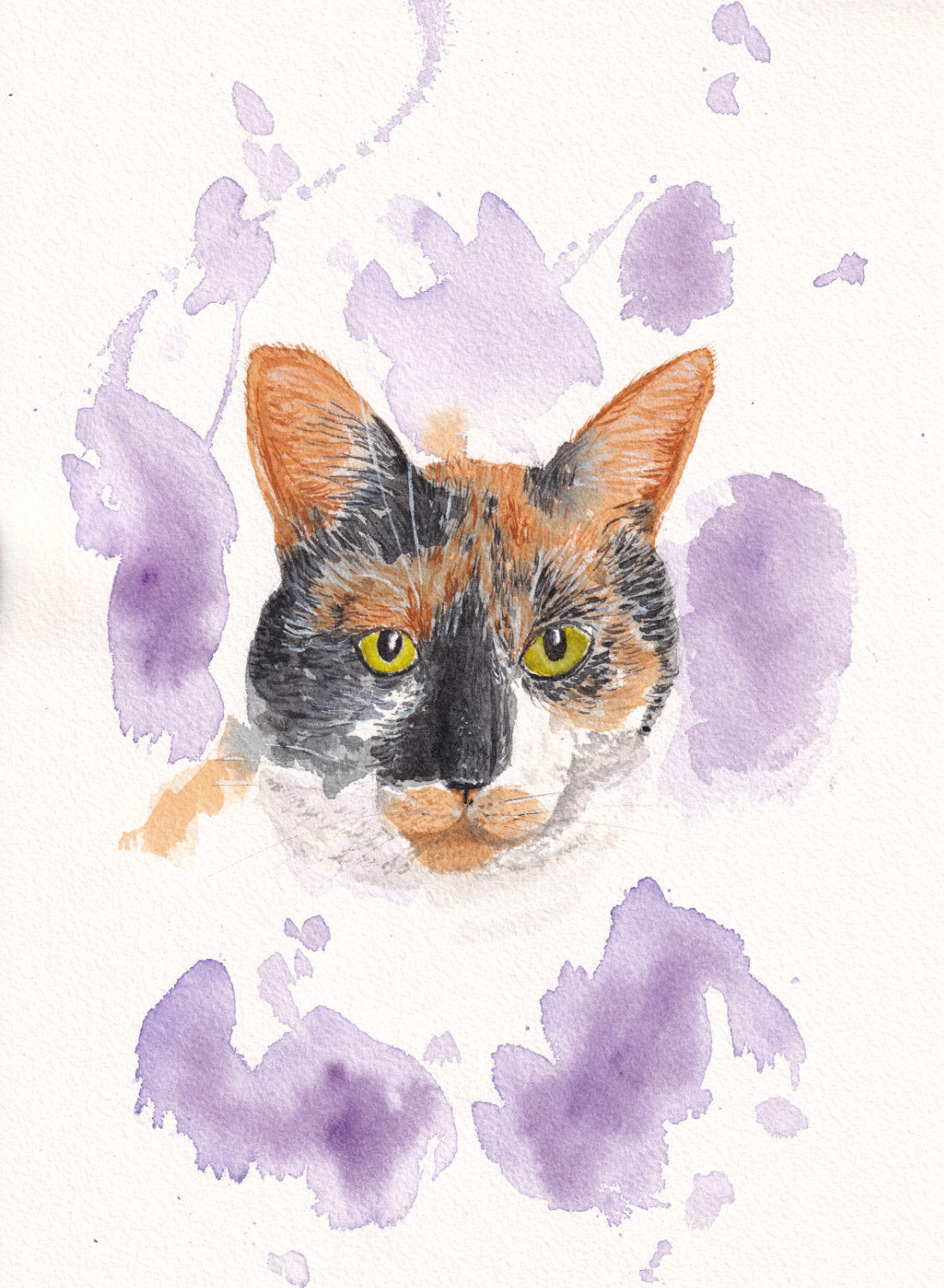 aquarelle chat 