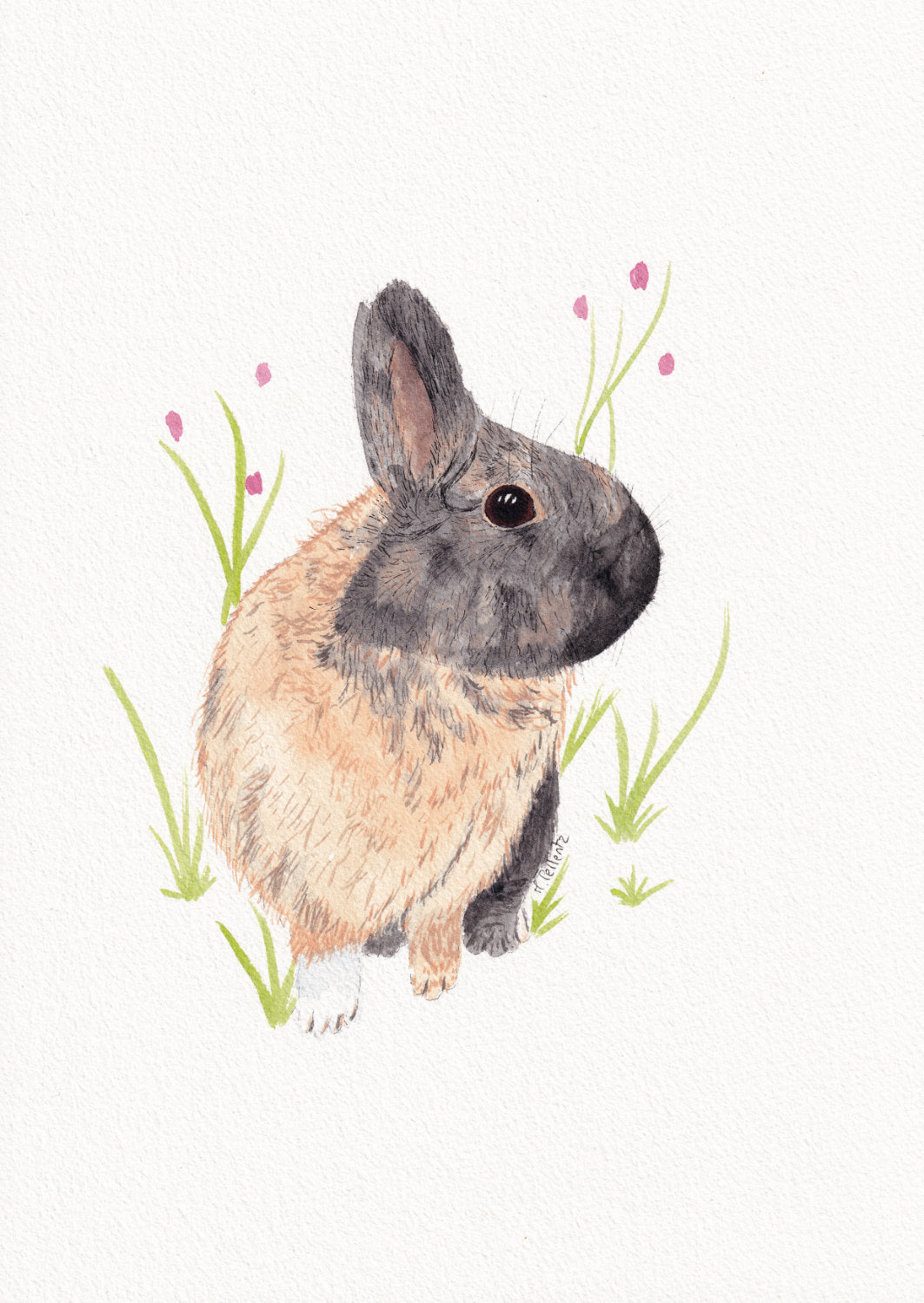 aquarelle lapin