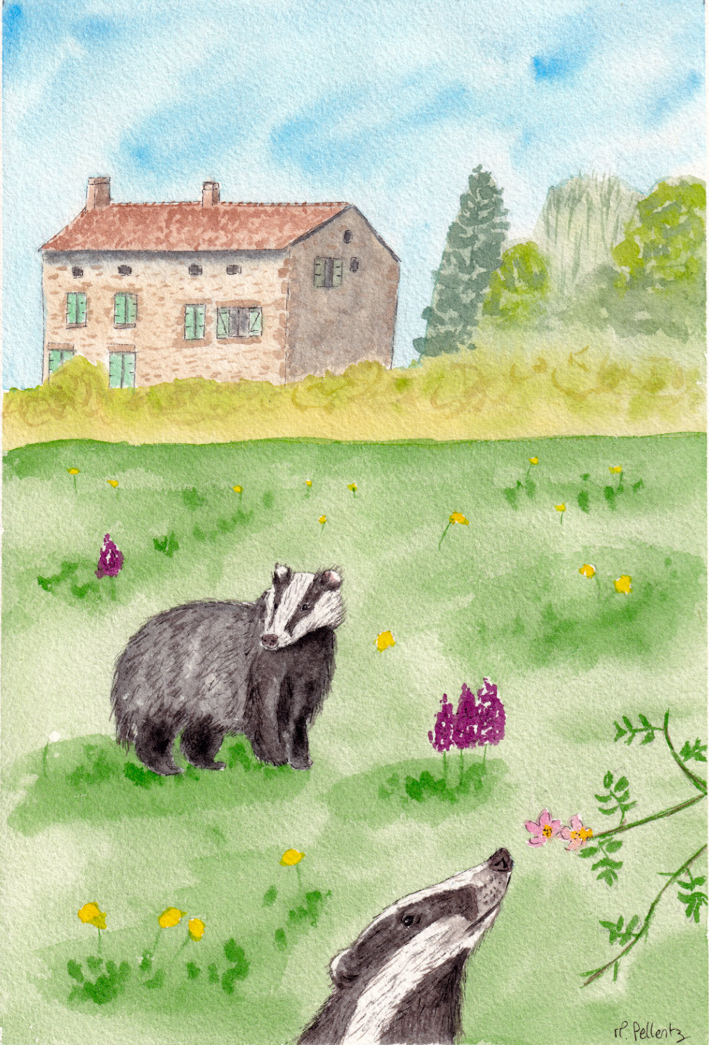 aquarelle maison jardin blaireaux