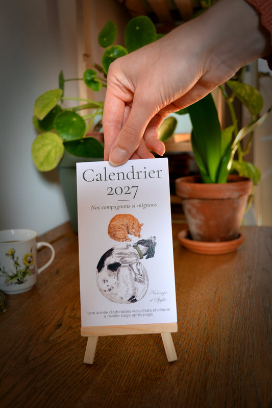 calendrier chats et chiens 2027 couverture