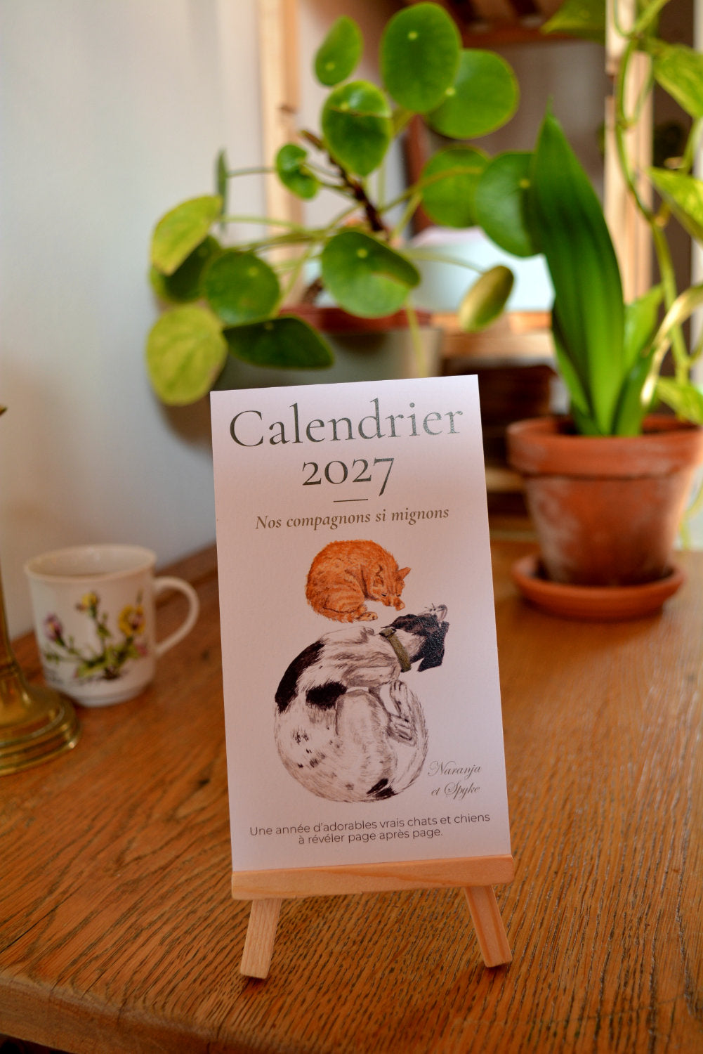 calendrier chats et chiens 2027  couverture