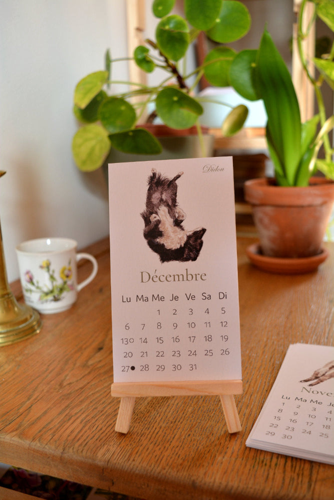 calendrier chats et chiens 2027  chien