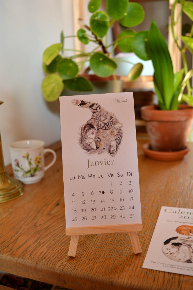 calendrier chats et chiens 2027  chat