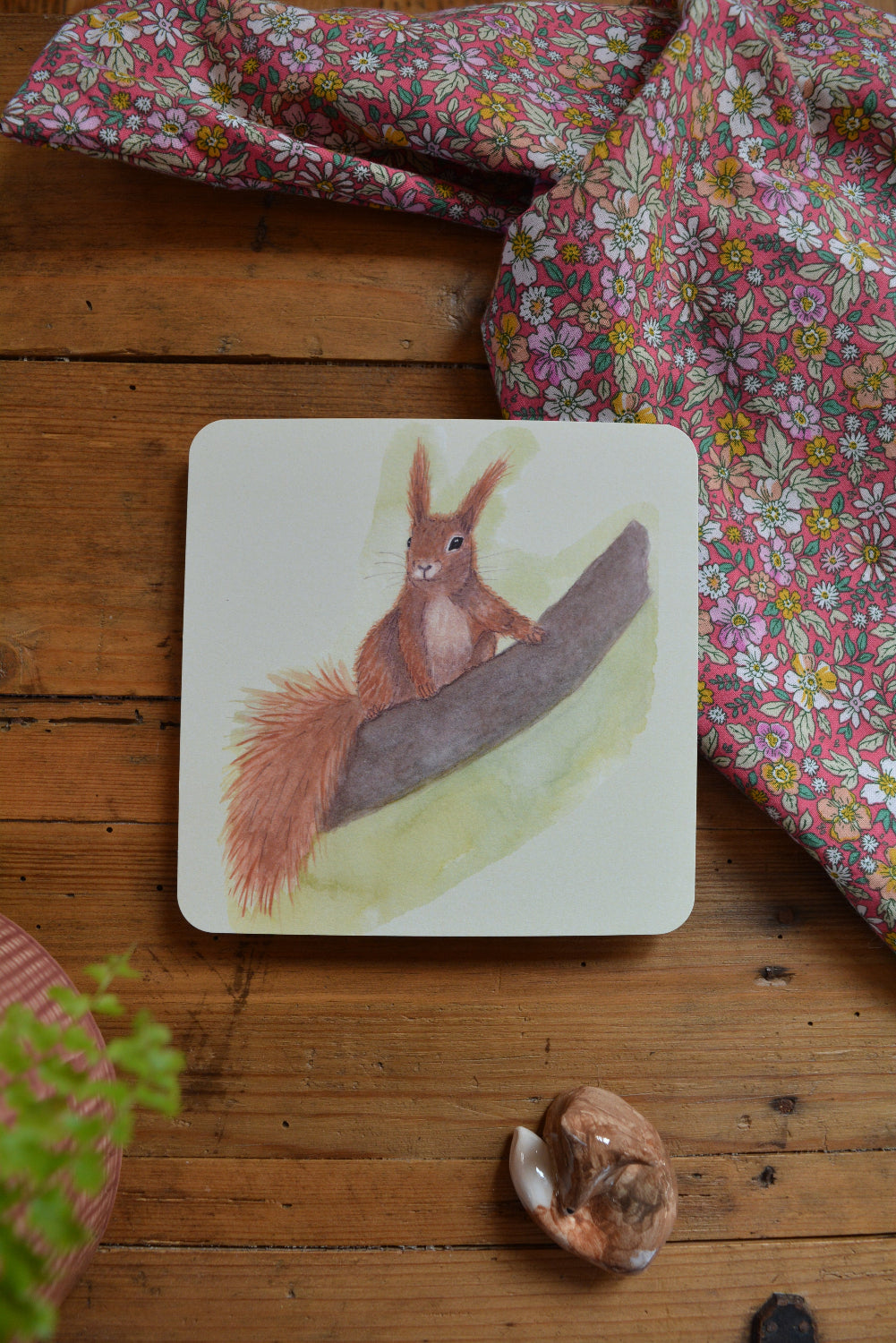 carte postale écureuil carrée
