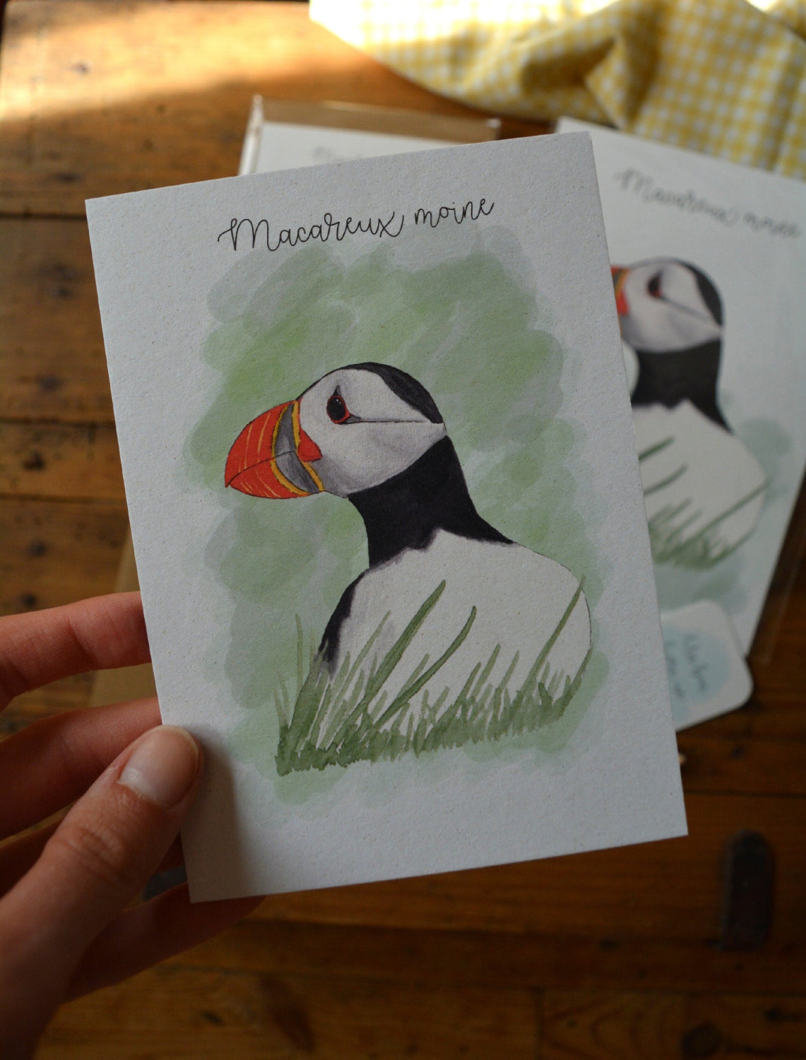 carte postale macareux moine