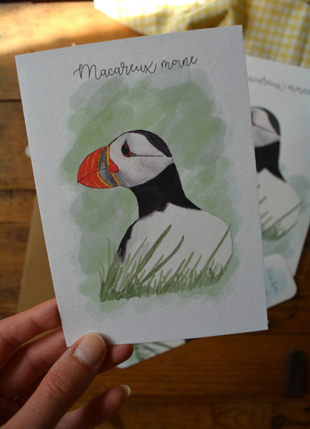 carte postale macareux moine