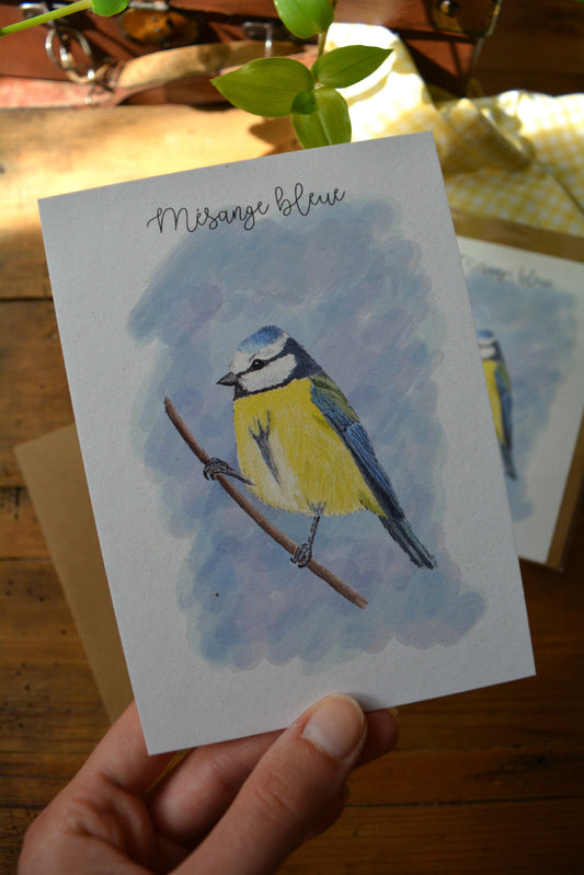 carte postale mésange bleue