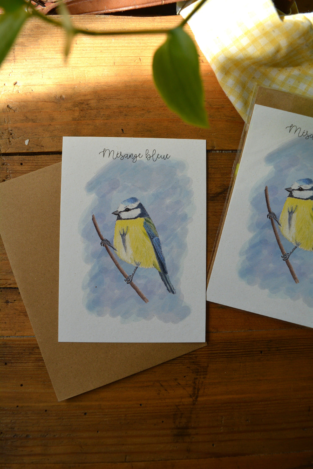 carte postale mésange bleue et son enveloppe kraft