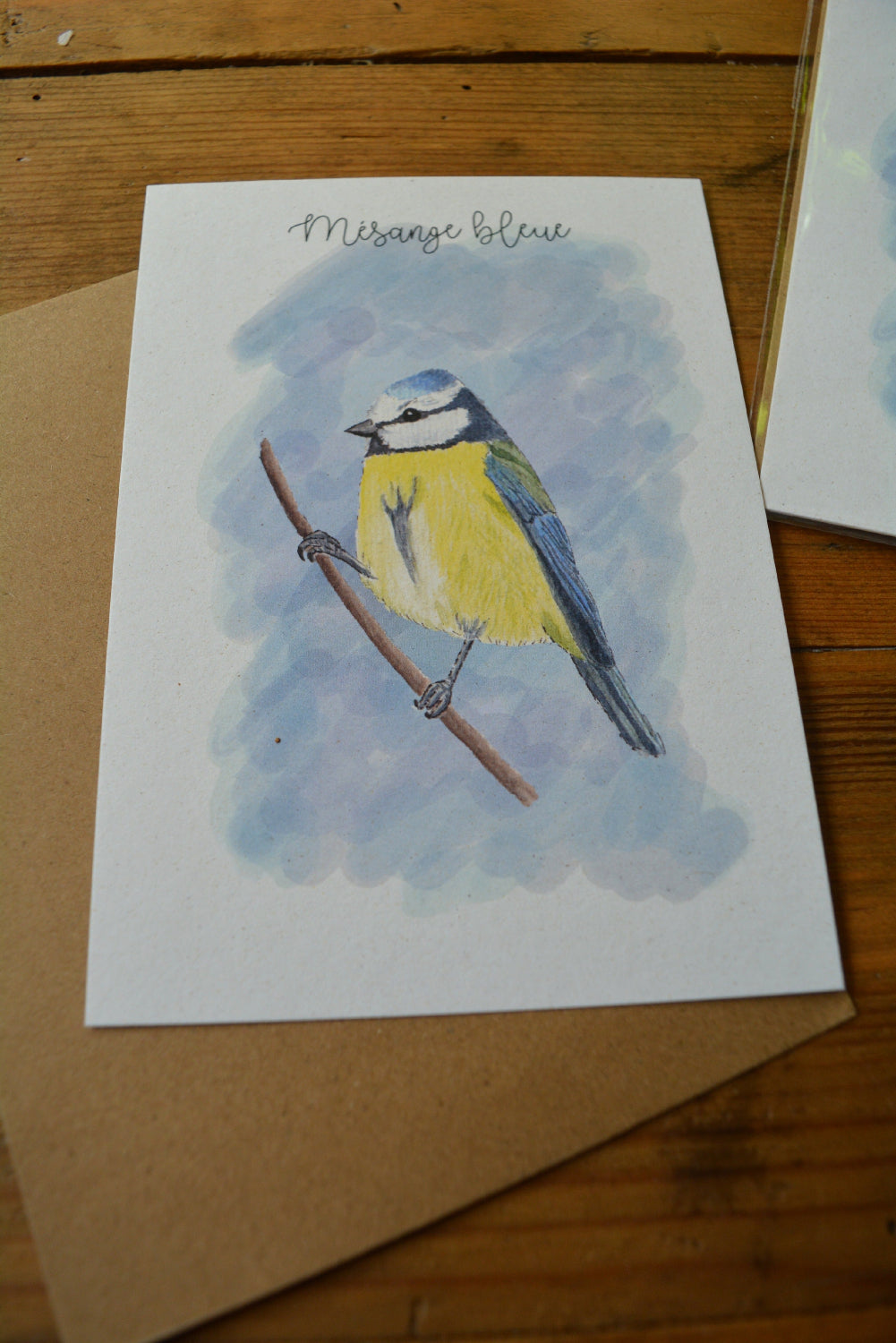 carte postale mésange bleue