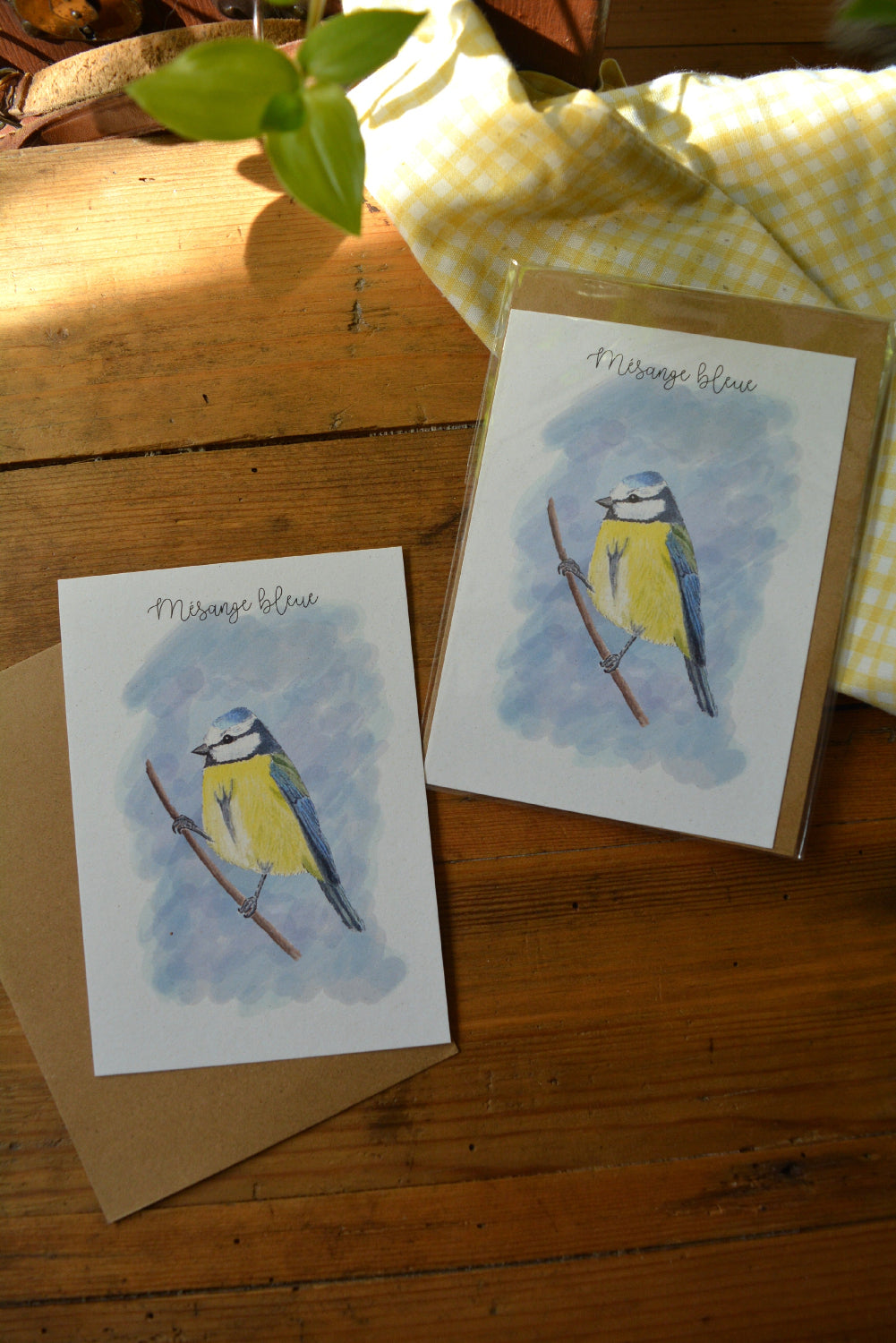 carte postale mésange bleue et son emballage