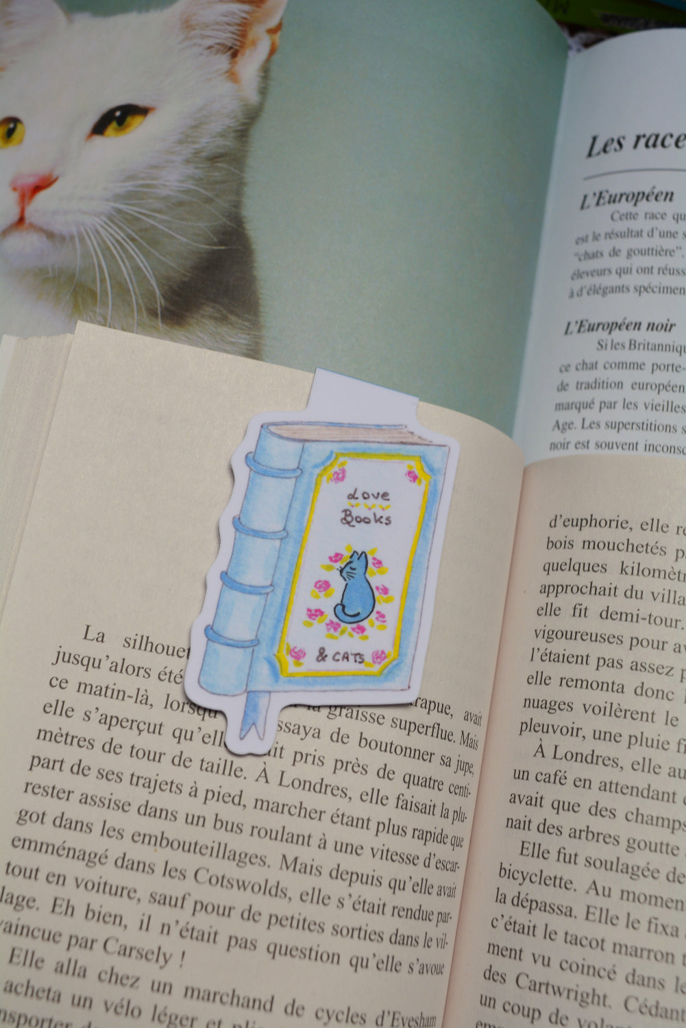 marque page magnetique chats et livres