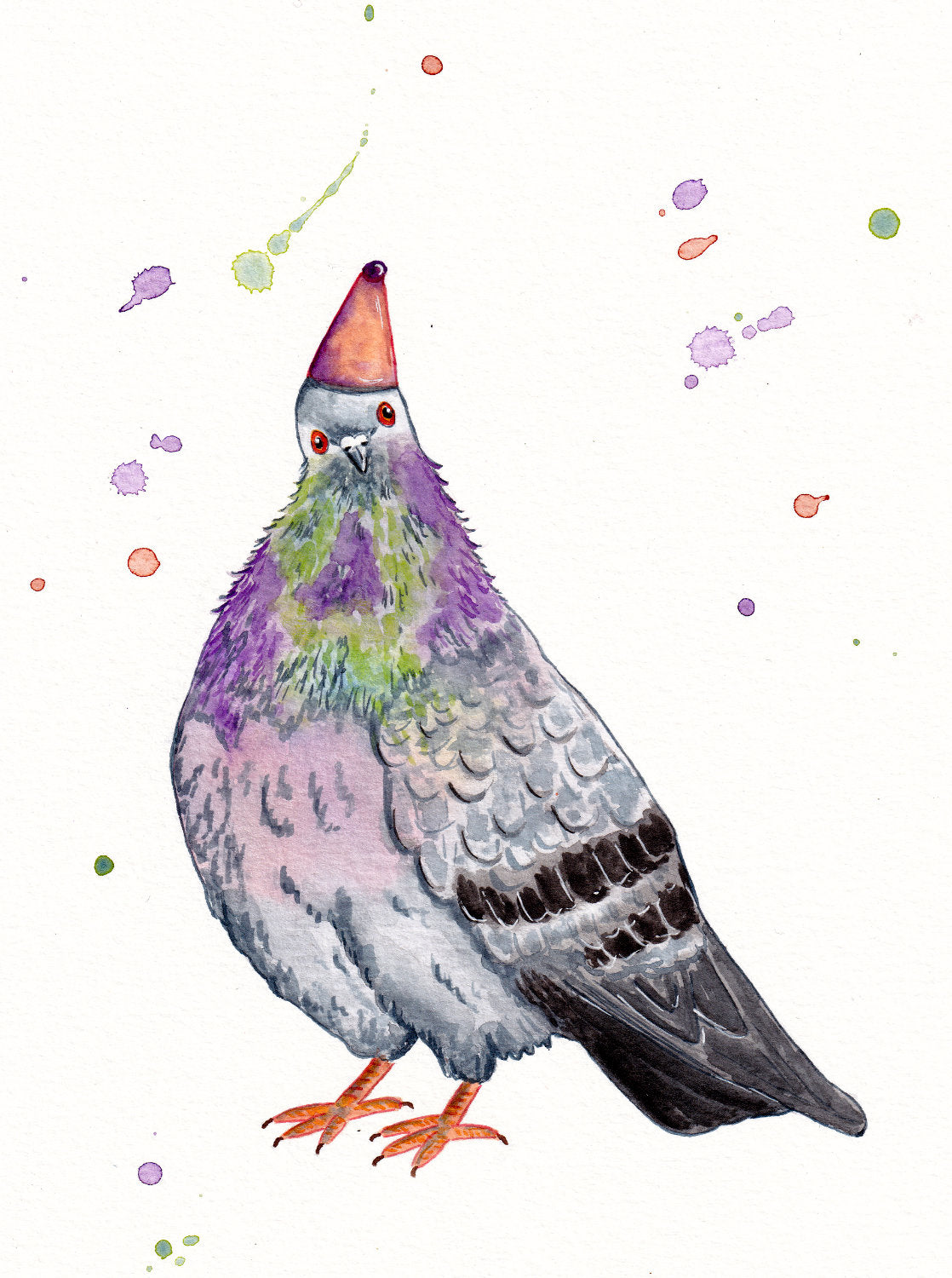 pigeon_biset