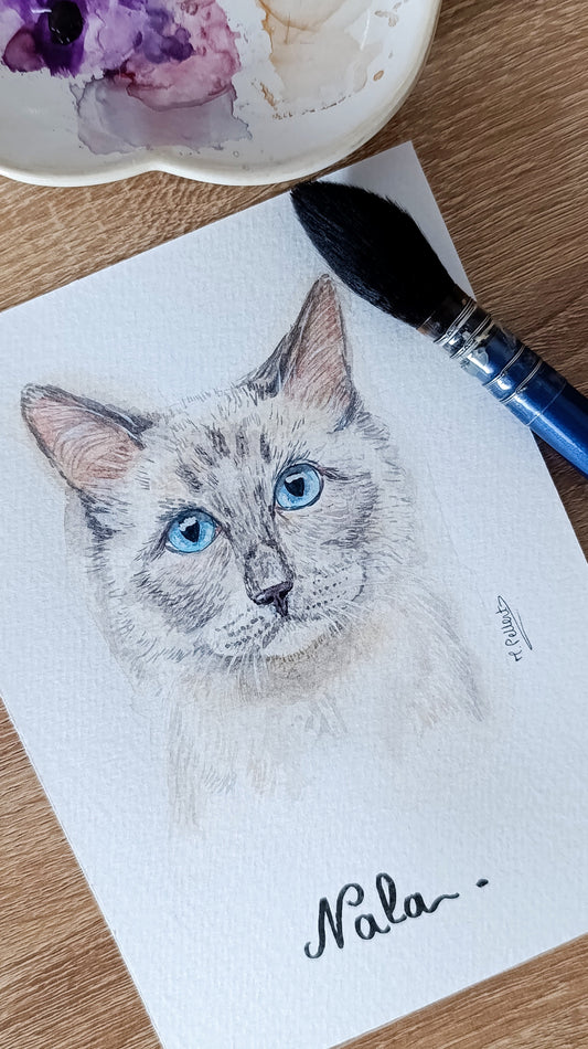 portrait chat aquarelle