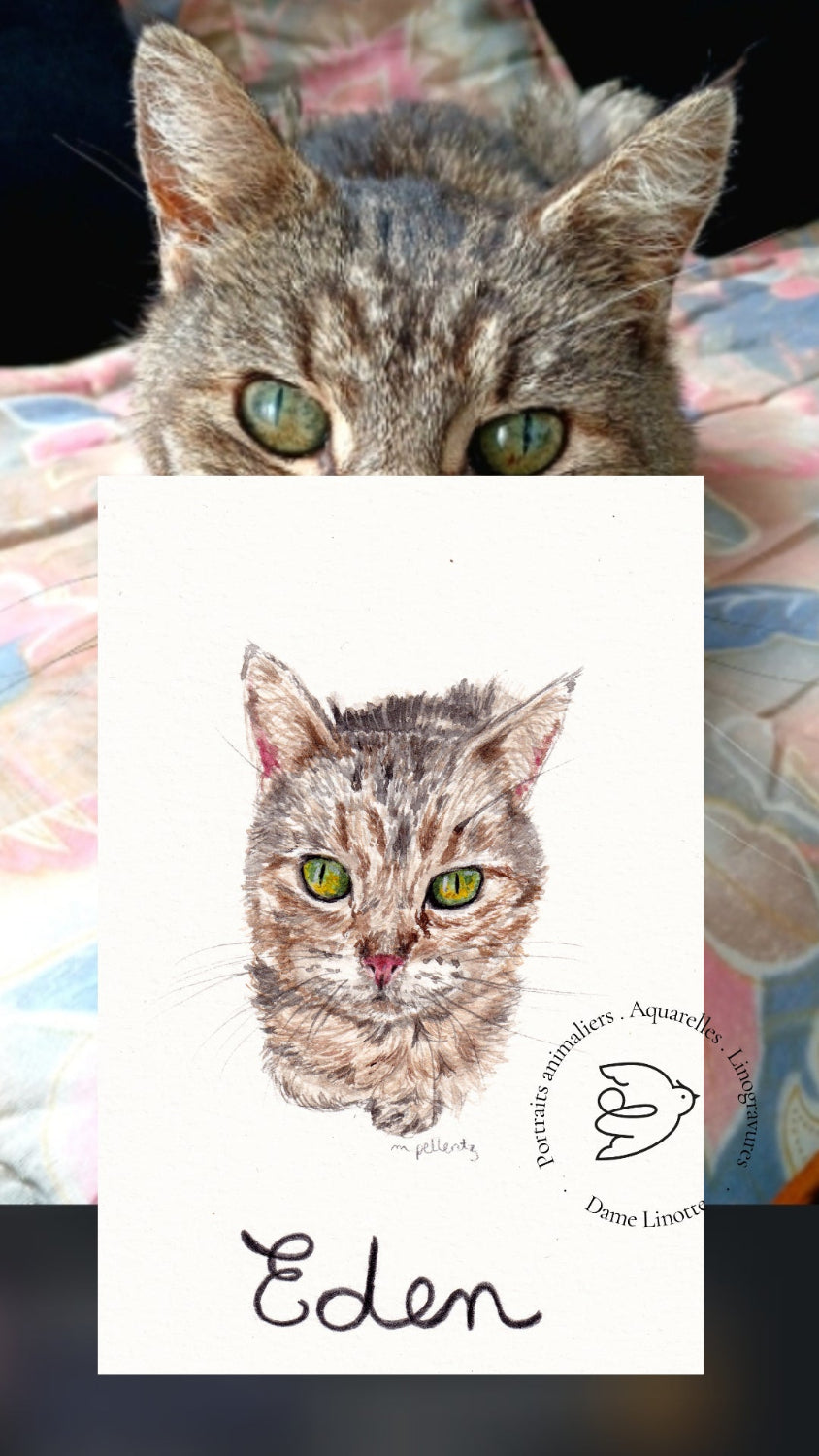 portrait chat disparu