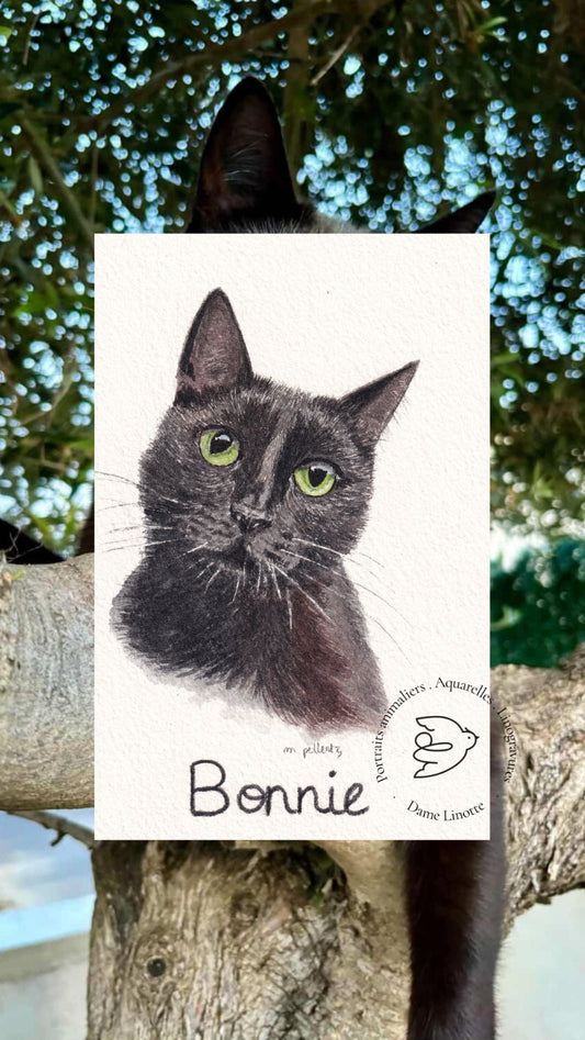 portrait chat noir