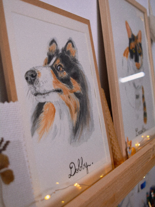 portrait chien berger encadré