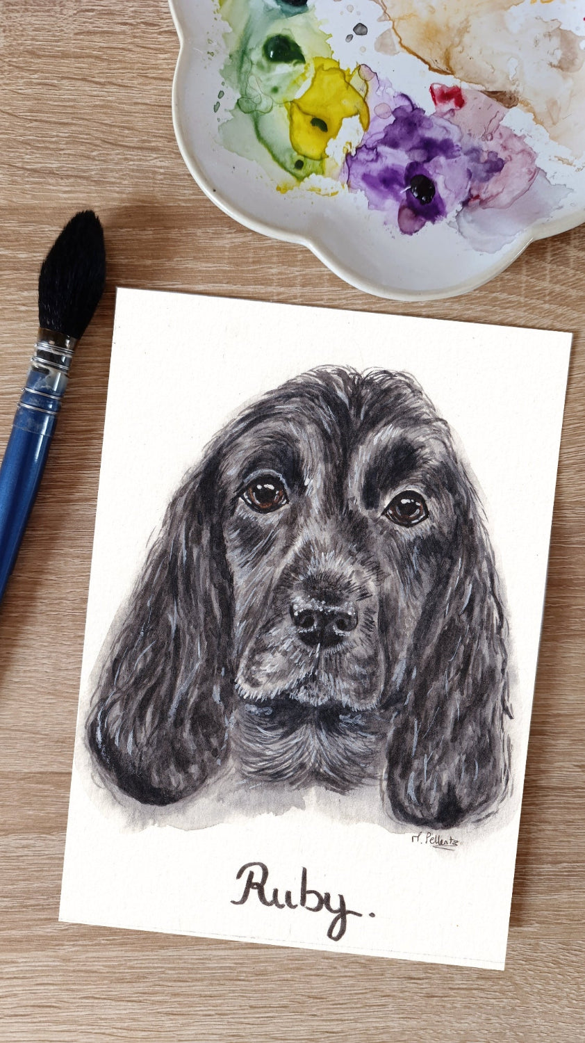 portrait chien cocker