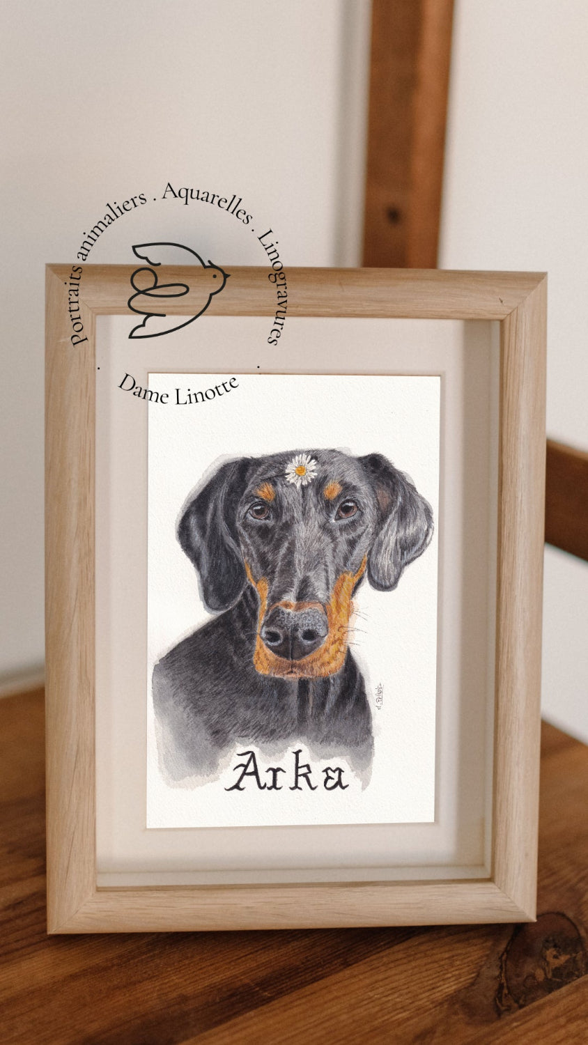 portrait dobermann chien