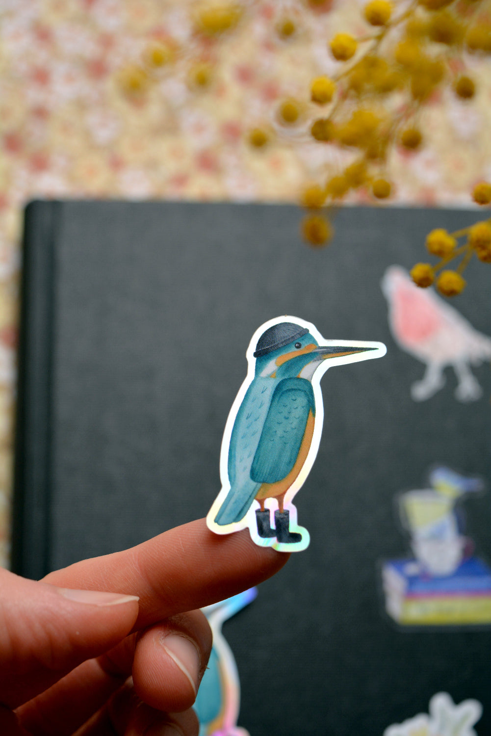 sticker martin pecheur