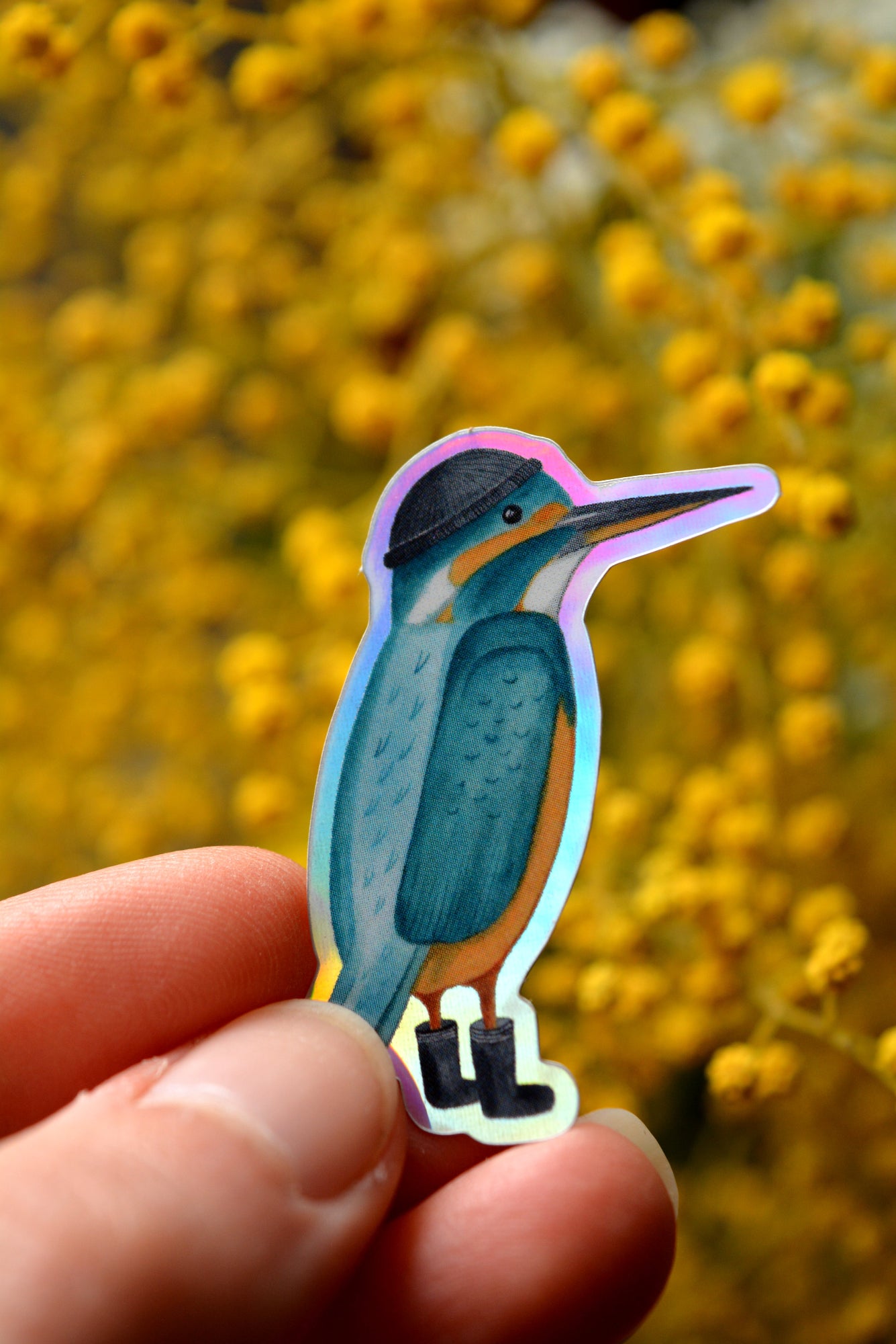 sticker martin pecheur